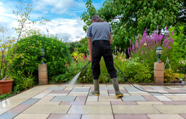 Best Deck and Patio Pressure Washing in Lake Dalecarlia, IN
