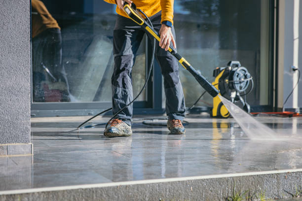 Best Soft Washing for Delicate Surfaces in Lake Dalecarlia, IN